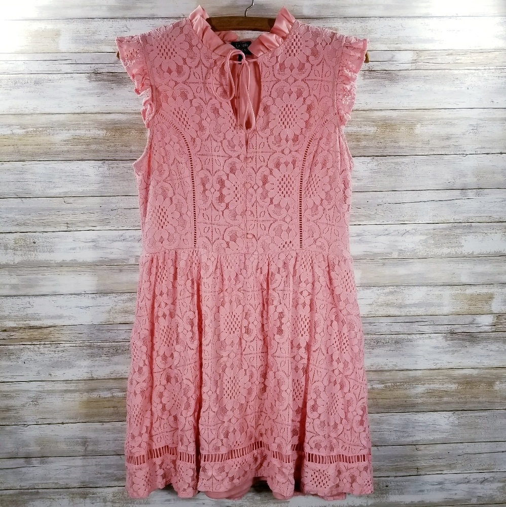 Disney Beauty And The Beast Pink Lace Dress